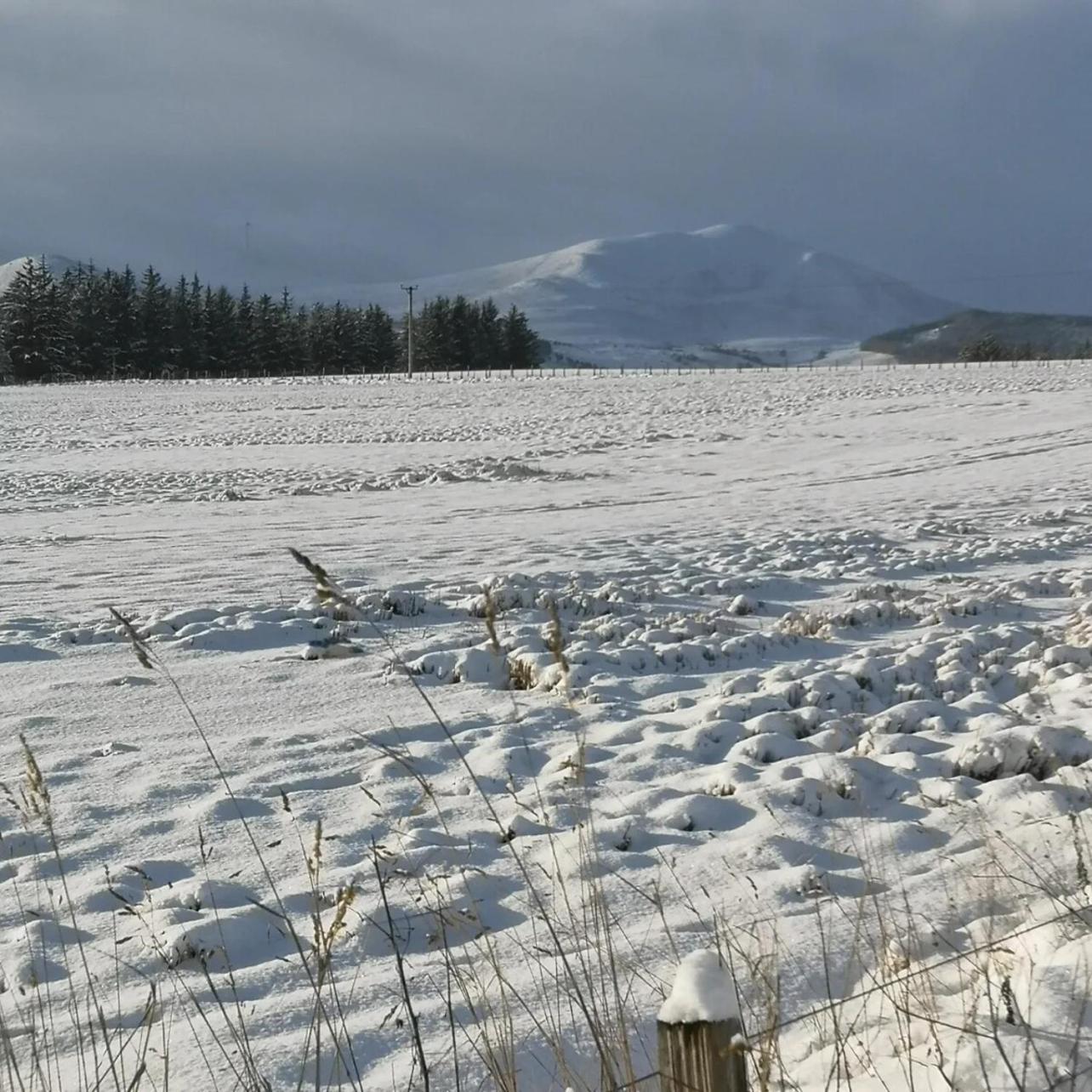 Mike'S 3-Bedroom Countryside Cottage Alness Luaran gambar