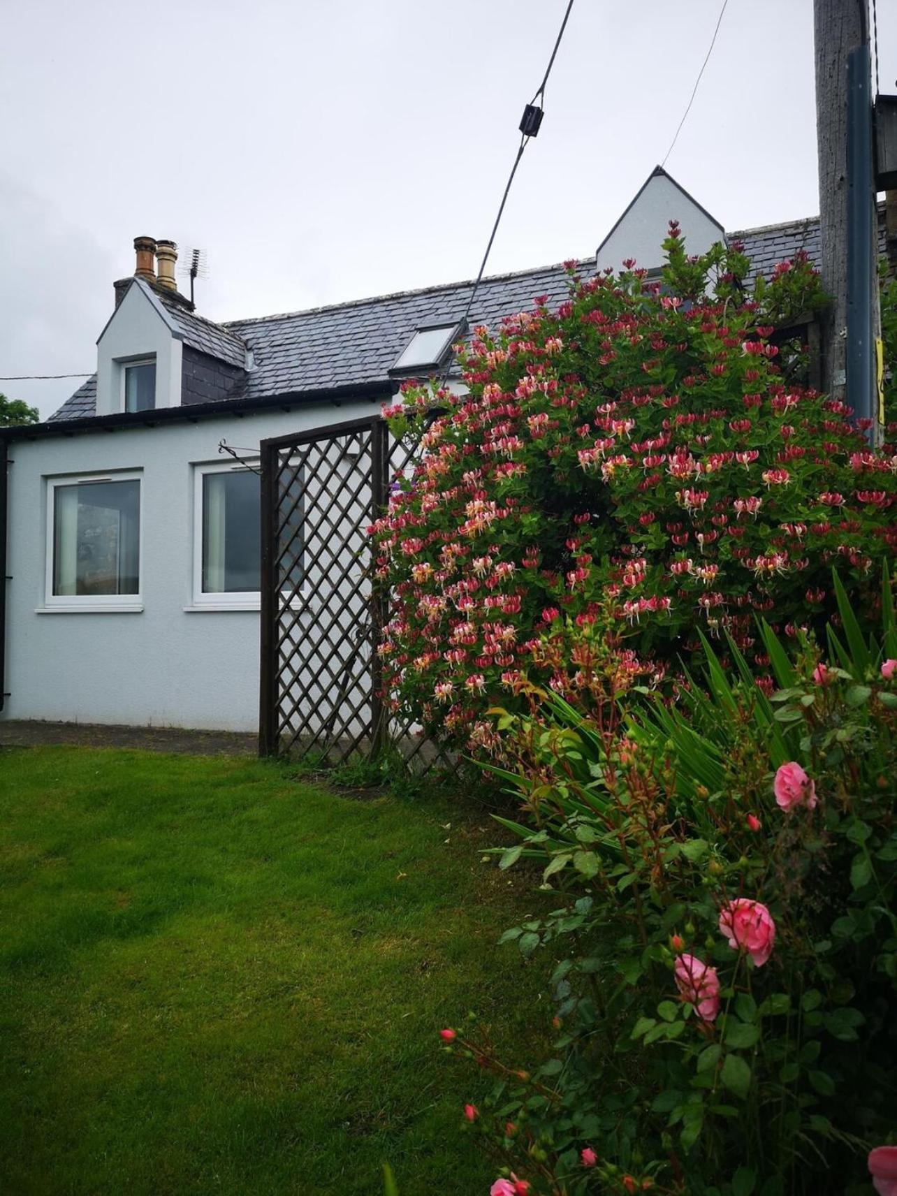 Mike'S 3-Bedroom Countryside Cottage Alness Luaran gambar